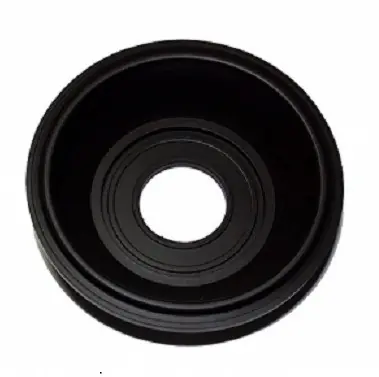 Membrane de boisseau pour Kawasaki KLF300 Prix Cassé