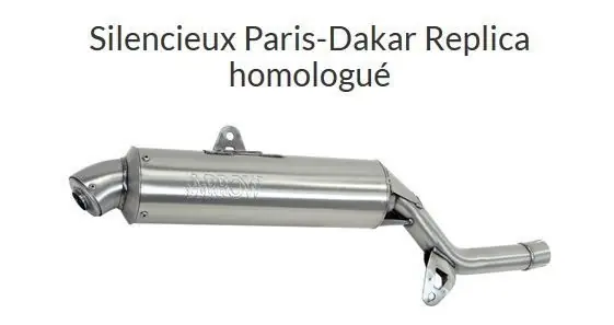 Silencieux Arrow Paris Dakar inox pour XRV750 RD04 / RD07 / RD07A Réduction