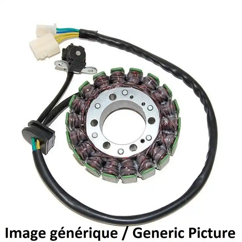 Stator ELECTROSPORT – Suzuki GSX650F Commande En Gros