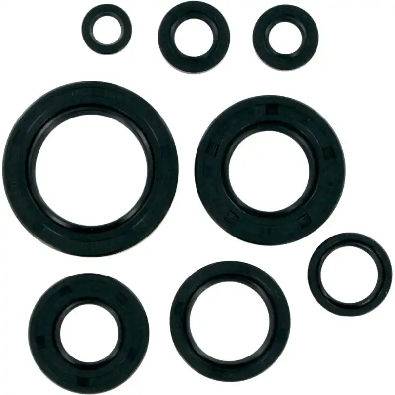 Nouveauté MTR SEALS ATC/TRX 250